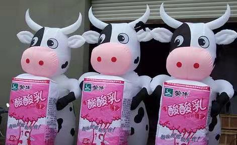 永仁牛奶厂广告气模